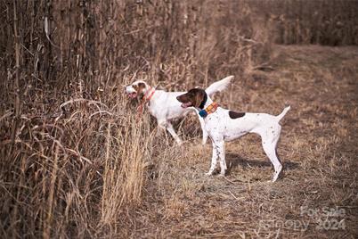 229 Joseph Kershaw Road, Eastover, SC 29044 - Photo 44