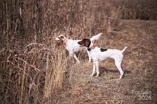 229 Joseph Kershaw Rd, Eastover, SC 29044 - Photo 44