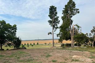 3923 Old Pageland Monroe Rd, Monroe, NC 28112 - Photo 6