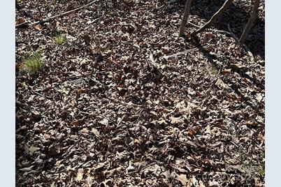 4 Ac Ashley Road, Indian Land, SC 29707 - Photo 6