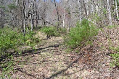 Lot 8 Town Mountain Road, Asheville, NC 28804 - Photo 8