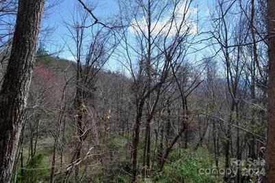 Lot 8 Town Mountain Road, Asheville, NC 28804 - Photo 1