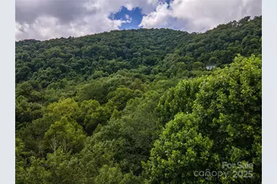 00 Troutman Trail, Leicester, NC 28748 - Photo 10