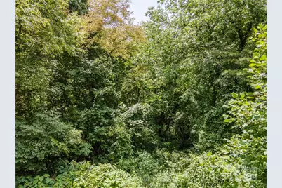 00 Troutman Trail, Leicester, NC 28748 - Photo 2