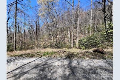 000 Pisgah Mountain Road, Canton, NC 28716 - Photo 4