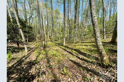 0000 Cawood Lane, Clyde, NC 28721 - Photo 10