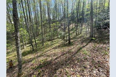 0000 Cawood Lane, Clyde, NC 28721 - Photo 16