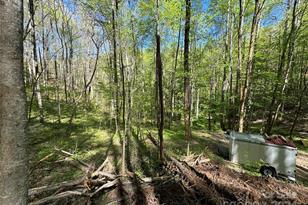 0 East Silvermine Rd, Bryson City, NC 28713 - Photo 2