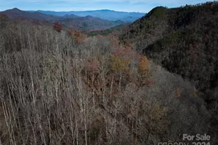 0 East Silvermine Rd, Bryson City, NC 28713 - Photo 12