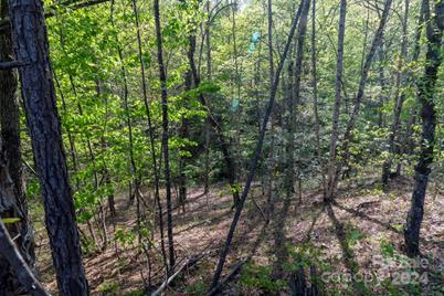 99999 Shady Bark Lane #41, Rutherfordton, NC 28139 - Photo 22