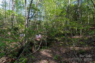 99999 Shady Bark Lane #41, Rutherfordton, NC 28139 - Photo 18