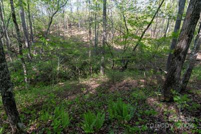 99999 Shady Bark Lane #41, Rutherfordton, NC 28139 - Photo 14