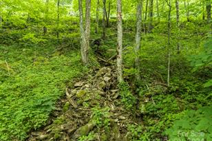 98 Goldenleaf Rd, Mars Hill, NC 28754 - Photo 20