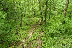 98 Goldenleaf Rd, Mars Hill, NC 28754 - Photo 18