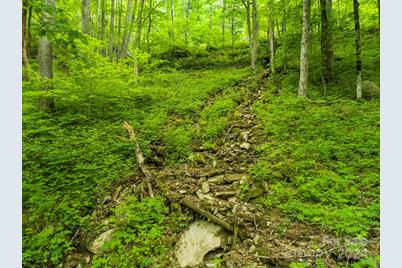 98 Goldenleaf Road #98, Mars Hill, NC 28754 - Photo 22