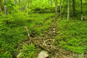 98 Goldenleaf Rd, Mars Hill, NC 28754 - Photo 22