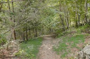 98 Goldenleaf Rd, Mars Hill, NC 28754 - Photo 34