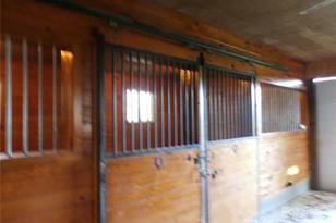 288 Firetower Rd, Spruce Pine, NC 28777 - Photo 28