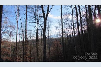 00 High Peak Drive #61, Burnsville, NC 28714 - Photo 16