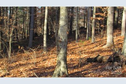 00 High Peak Drive #61, Burnsville, NC 28714 - Photo 4