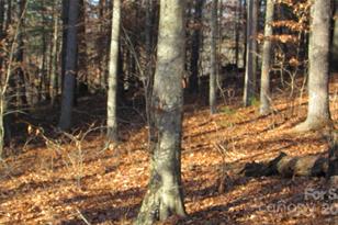 00 High Peak Dr, Burnsville, NC 28714 - Photo 4