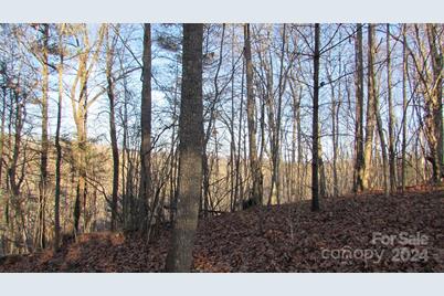 00 High Peak Drive #61, Burnsville, NC 28714 - Photo 12