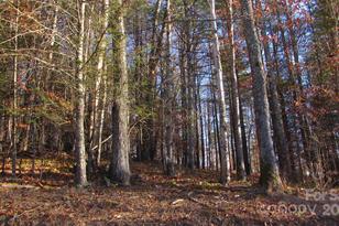 00 High Peak Dr, Burnsville, NC 28714 - Photo 14