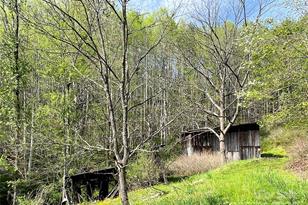 2180 Pigeon Roost Rd, Green Mountain, NC 28740 - Photo 46