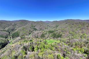 2180 Pigeon Roost Rd, Green Mountain, NC 28740 - Photo 38