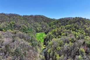 2180 Pigeon Roost Rd, Green Mountain, NC 28740 - Photo 34