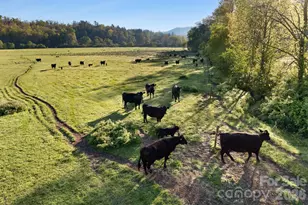 3903 Island Ford Rd, Brevard, NC 28712 - Photo 48