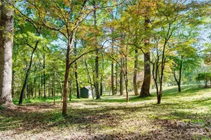 116 Sams Branch Rd, Candler, NC 28715 - Photo 46