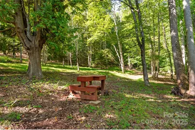 116 Sams Branch Road, Candler, NC 28715 - Photo 42