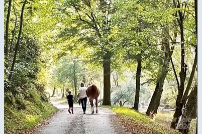 4.77 Acres, Lot 245 Johns Ridge Parkway #245, Lenoir, NC 28645 - Photo 16