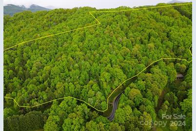 000 Mountain Air Drive, Burnsville, NC 28714 - Photo 2