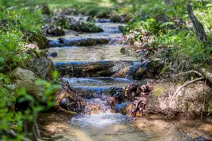 5712 Summit Rd, Purlear, NC 28665 - Photo 44