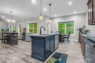 10305 Green River Cove Rd, Saluda, NC 28773 - Photo 14