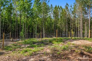 10305 Green River Cove Rd, Saluda, NC 28773 - Photo 36