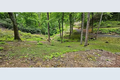 264 Quiet Times Drive, Burnsville, NC 28714 - Photo 6