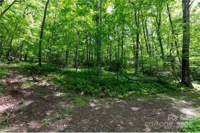 264 Quiet Times Drive, Burnsville, NC 28714 - Photo 32