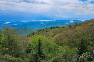 264 Quiet Times Dr, Burnsville, NC 28714 - Photo 44