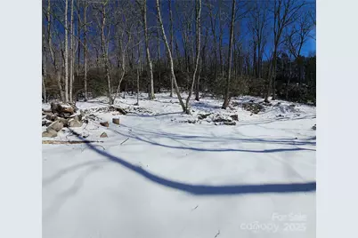264 Quiet Times Drive, Burnsville, NC 28714 - Photo 26
