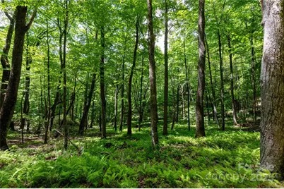 264 Quiet Times Drive, Burnsville, NC 28714 - Photo 28