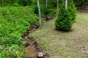 264 Quiet Times Dr, Burnsville, NC 28714 - Photo 12