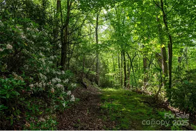 264 Quiet Times Drive, Burnsville, NC 28714 - Photo 22
