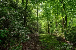 264 Quiet Times Dr, Burnsville, NC 28714 - Photo 22