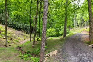 264 Quiet Times Dr, Burnsville, NC 28714 - Photo 24