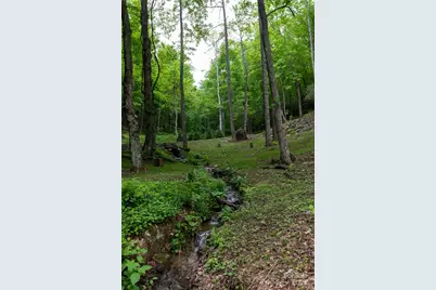 264 Quiet Times Drive, Burnsville, NC 28714 - Photo 16