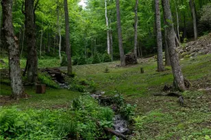 264 Quiet Times Dr, Burnsville, NC 28714 - Photo 16