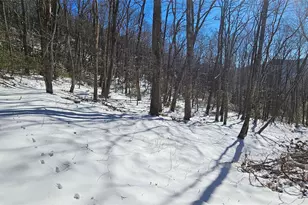 264 Quiet Times Dr, Burnsville, NC 28714 - Photo 8